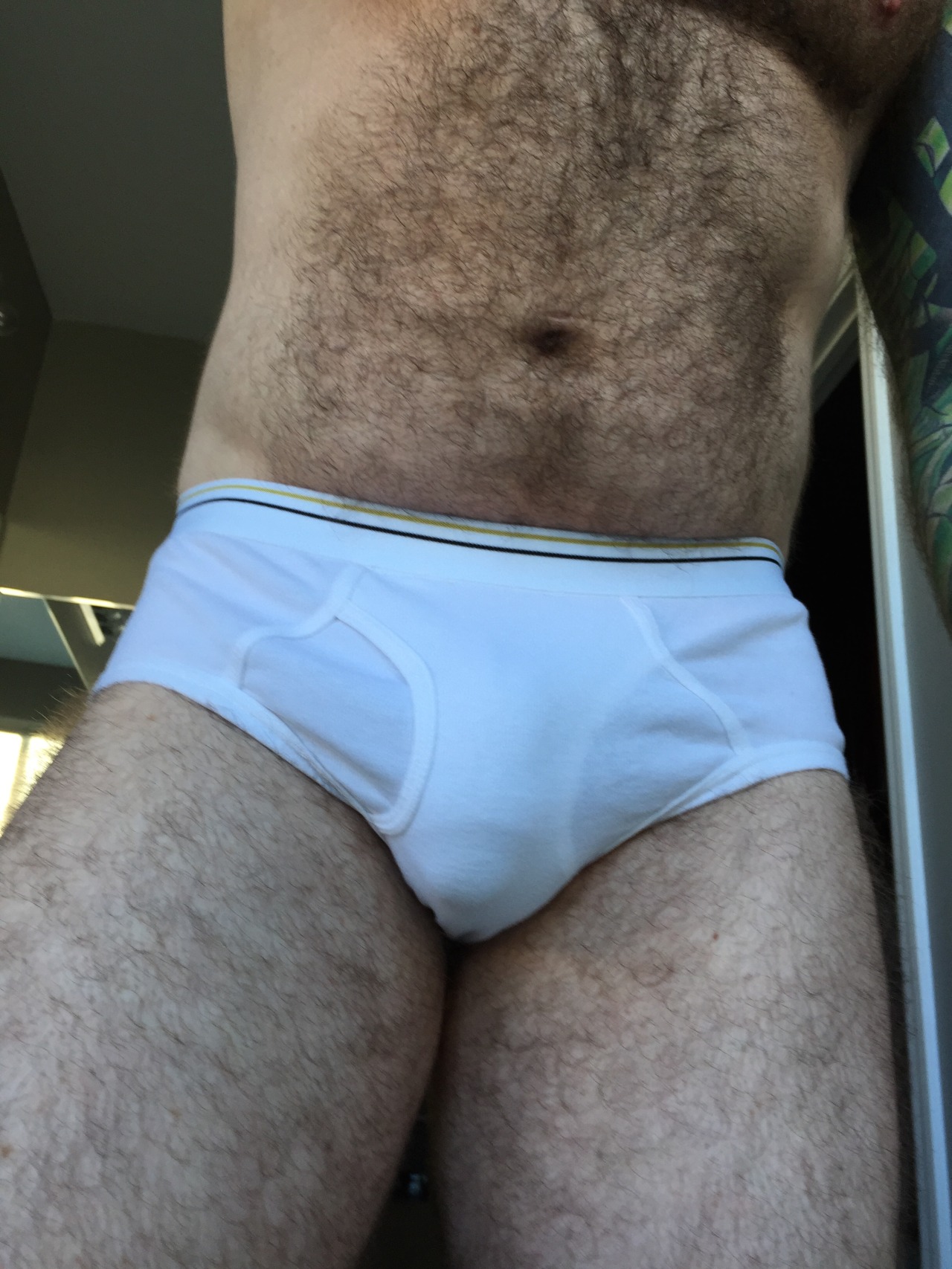 pup-sleeves-underwear-pics:  Pup in His Stafford Low Rise Briefs