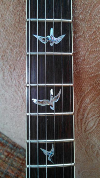 ...........GUITAR:LUST............