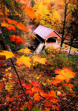 lori-rocks:  New Hampshire….by Merrill