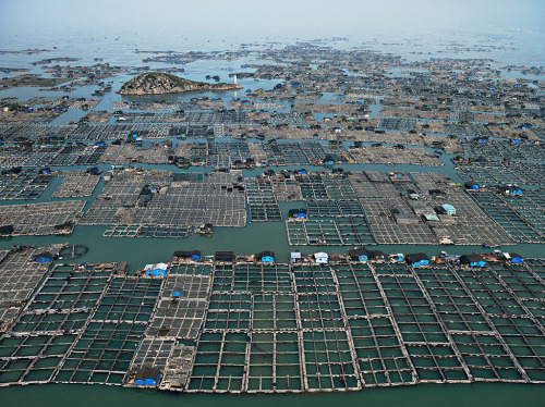 watershedplus: Following their triumph with Manufactured Landscapes, photographer Edward Burtynsky a