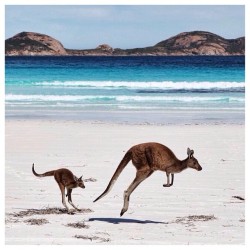 Happy Australia Day ☼  A day to be thankful for our freedom and to be reminded of how lucky we truly are “Our land abounds in nature’s gifts Of beauty rich and rare; For those who’ve come across the seas We’ve boundless plains to share” -