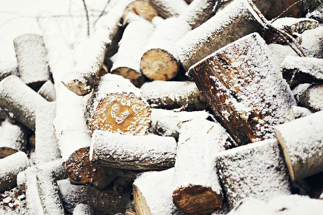 merry + cosy