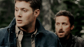 wolfstarry:   spn meme ★ eight episodes↳ the end // “oh man, something is broken in you.”