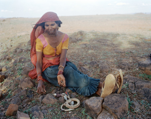 fotojournalismus:The Song Of Sparrows In A Hundred Days Of...