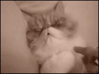 suchacuriousgirliam:  But I don’t want to wake up…   I know how you feel, cat