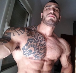 musclegodselfies:  Aviv Mesika 