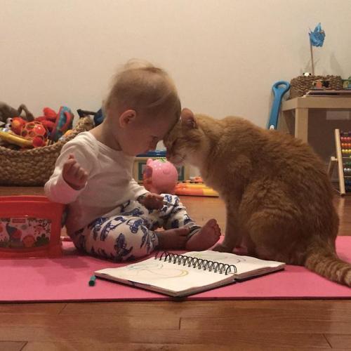 awwww-cute:  My 1.5yr old son and 14yr old cat had a moment this morning. (Source: https://ift.tt/2NOs8UQ)