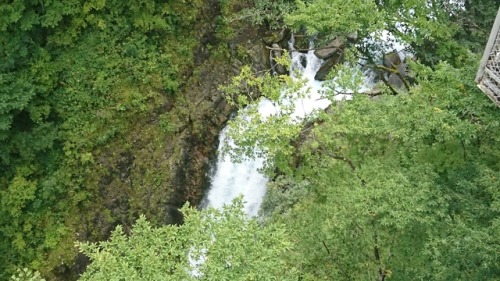 daichi6ki:  Kegon Falls One of the best three falls in Japan.