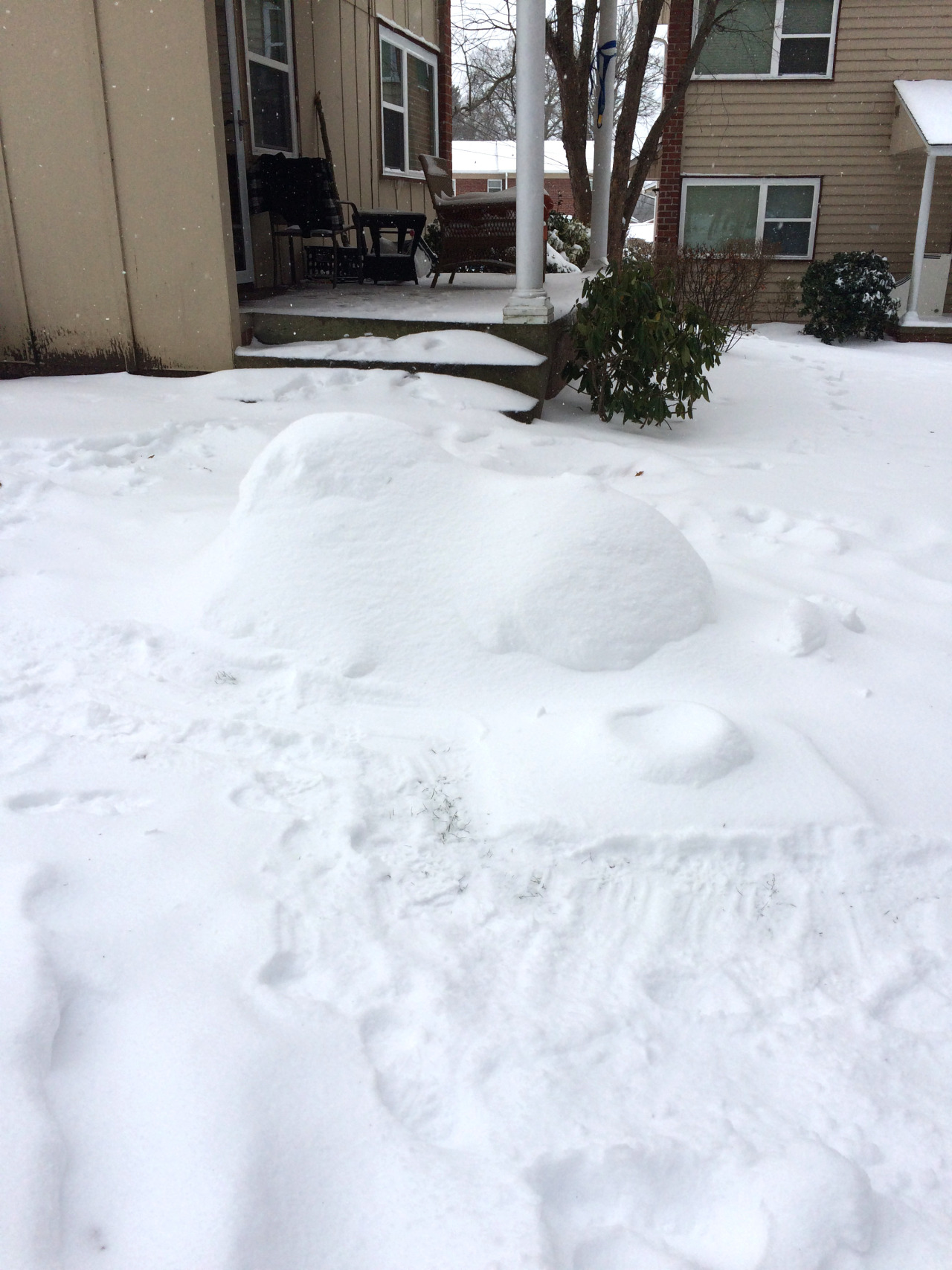 Pheo Draws Things - Yoooo I made a snow Tubbs during my snow day! : D...
