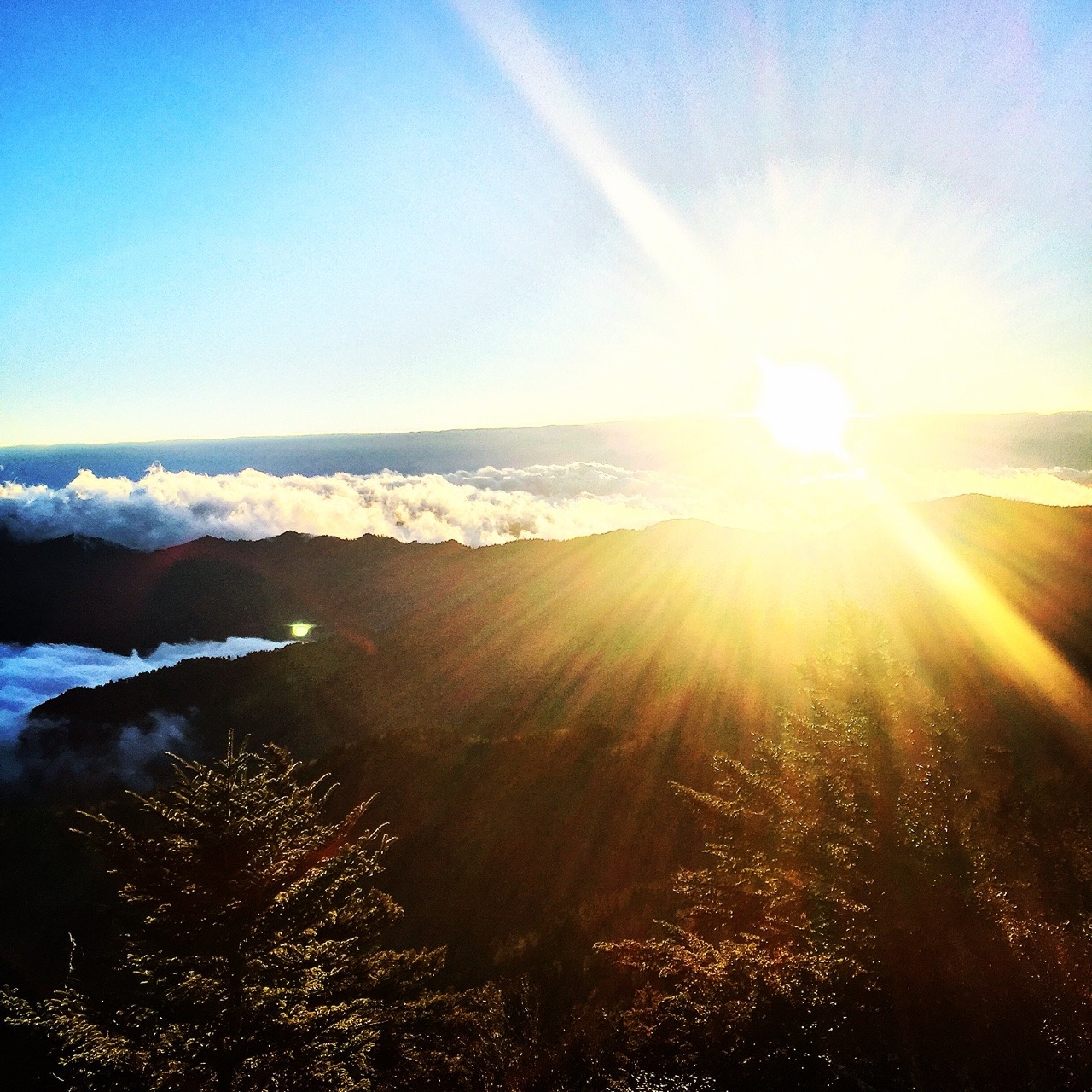 xrubysoho:  My heart is always in the Smokies.