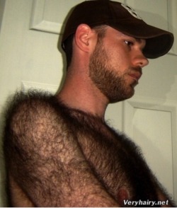 smoothsilk: hornytraveler45: Hairy men are