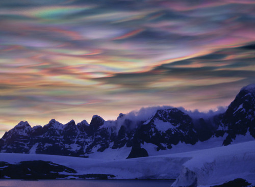 nubbsgalore:photos by per andre hoffmann in antarctica of polar stratospheric clouds, so named becau