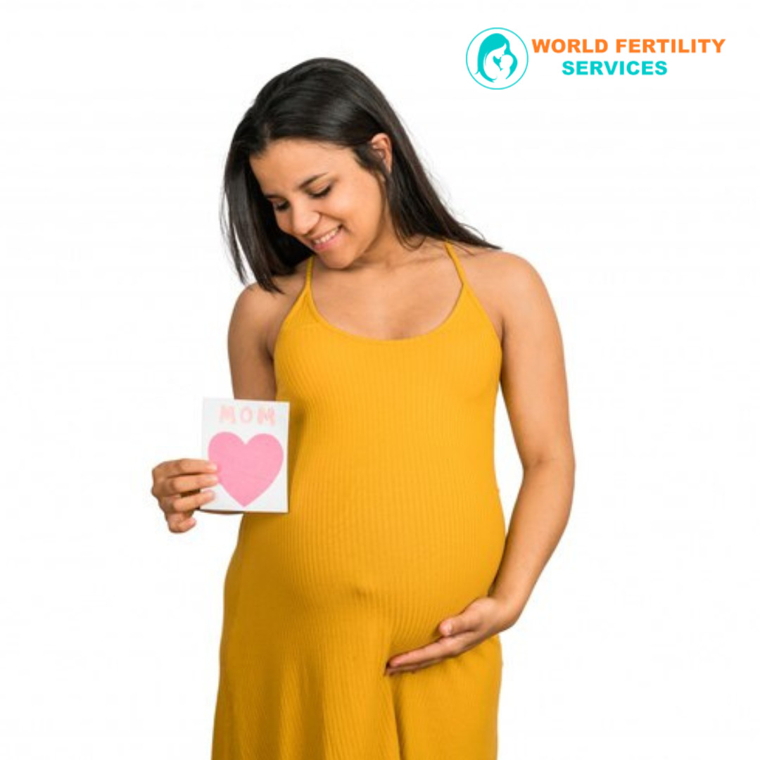 Reasonable IVF cost in Bangalore towards Pregnancy on Tumblr