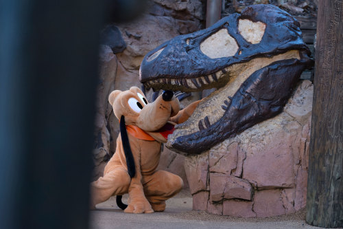 alphaborn:Source: Disney Parks, click source for more. 