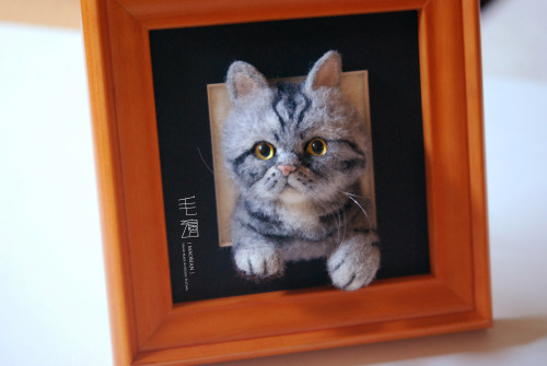 ▋ Exotic Shorthair ( custom-made )Pet Portrait  Frame is approximately 17 x 17 cm 