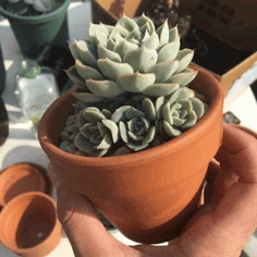 💚 💚 💚