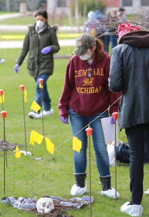 cmuniversity: CMU students were given a chance through a forensic anthropology class to investigate 