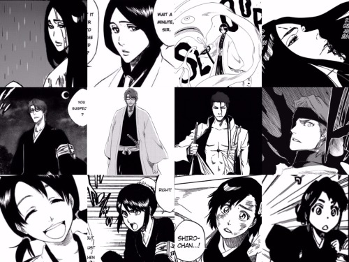 my-fanworks:Members of the Gotei throughout the years