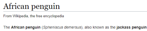 lesbianshepard:  lesbianshepard: what did these penguins do to the scientists to deserve this researcher: okay so we’re calling these “african penguins” because it lives in africa penguin: bites researcher researcher: hey fucker guess what new