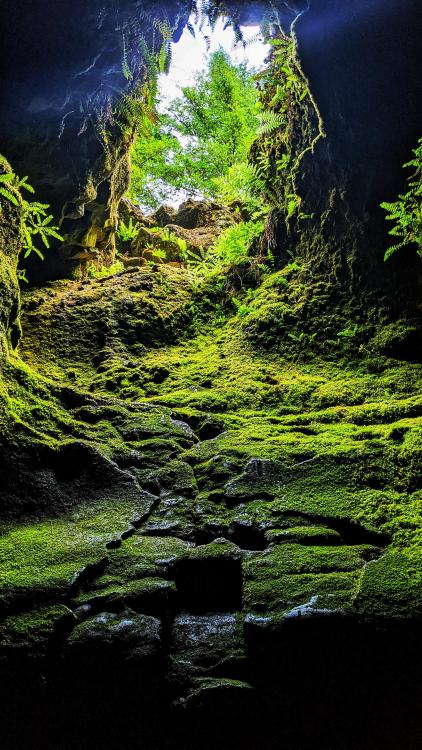 amazinglybeautifulphotography:Ape Cave (Upper Entrance) - Skylight - Mt St Helens NP [OC] [2160x3840] - Author: LMHConcepts on Reddit