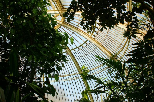 carlynotcarley:Kew gardens is the coolest