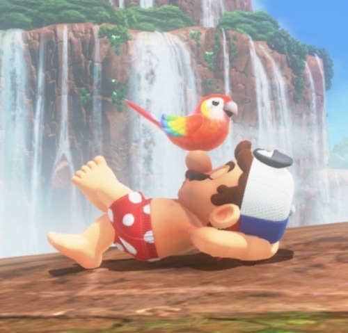 paulthebukkit:When Mario falls asleep in Mario Odyssey, different birds will land on his nose depend