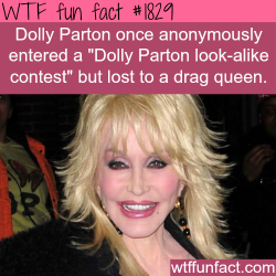 wtf-fun-factss:  Dolly Parton Look-alike