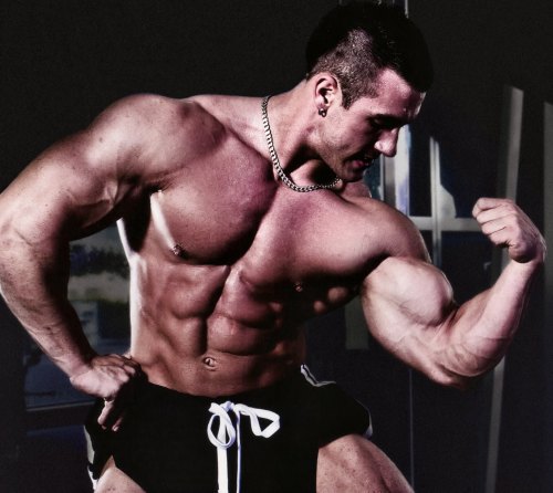 richmza:  Antoine Vaillant  