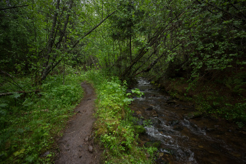 lobo-de-luna:  A good rainy day for a hike. 5-13-15