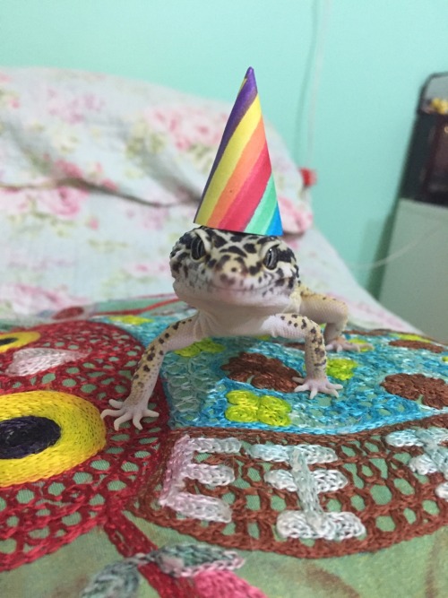 Steven turned one yesterday (September 5th). I love him so much, we have so much fun together. He po