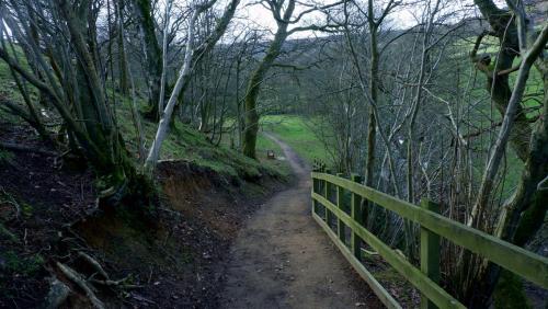 A Springtime Walk in Farndale, North Yorkshire, England.