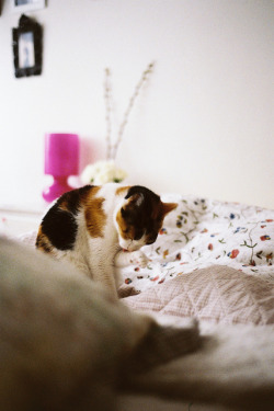 vacants:  untitled by Matilde Viegas on Flickr. 