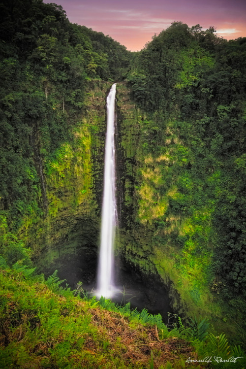 drxgonfly:  Akaka Falls at Sunset (by Ani Pandit)