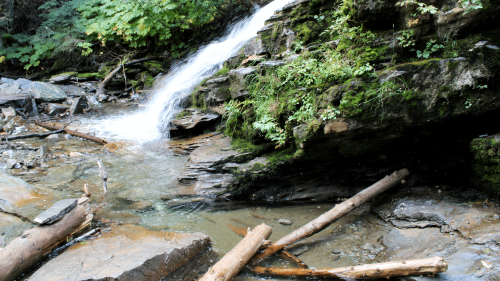 hidden pool