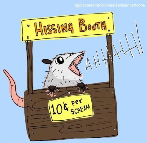 opossummypossum:Crabmeat Raccoon Eats Artisan Cartoons