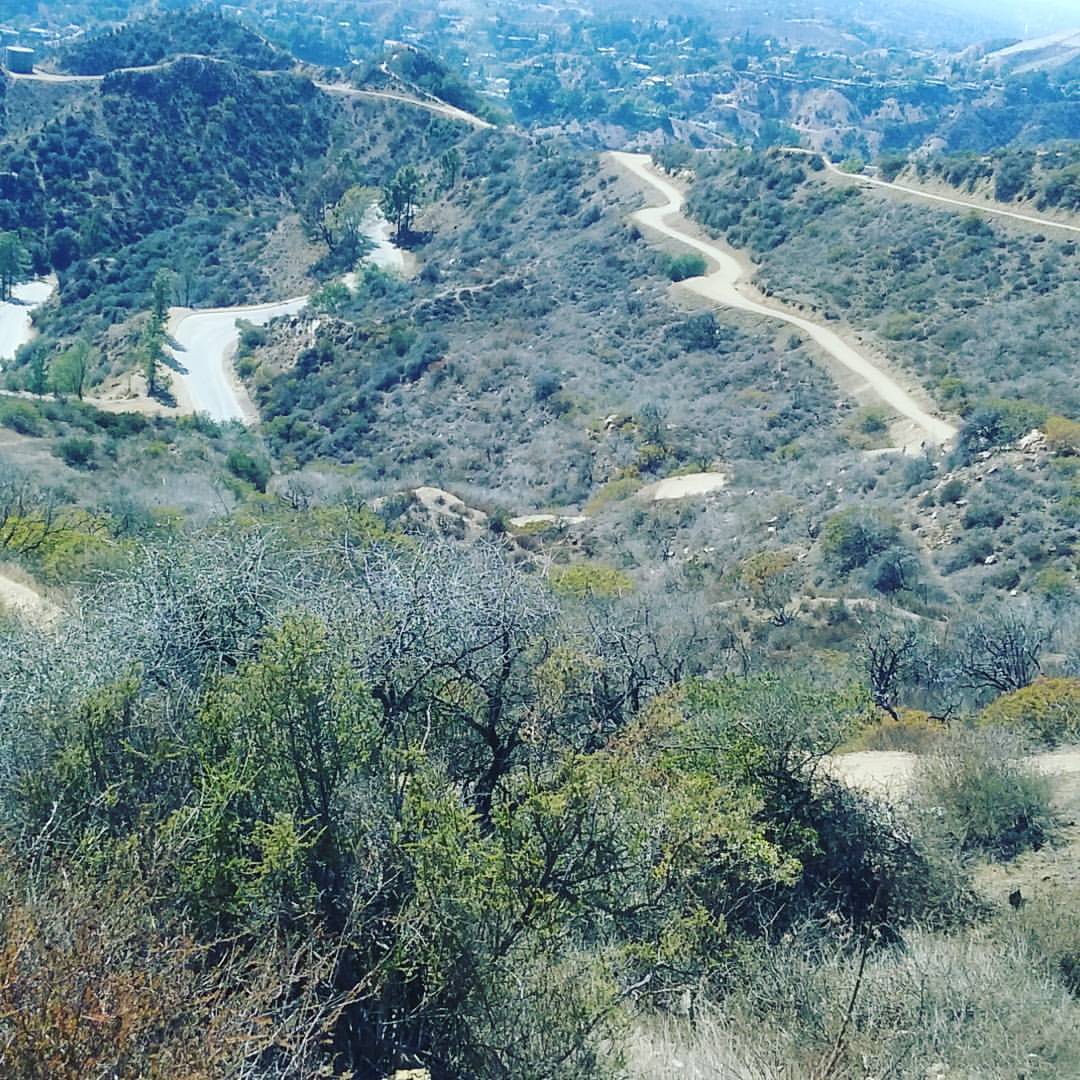 I hiked today ! #FirstTime ! #Nature #Pretty #Beauty #MtHollywood I feel good ! (at