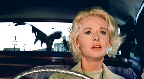 dialnfornoir:  The Birds (1963) 