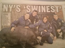 anarcho-cynicalism:  a group of cops pose for a photo with their commanding officer