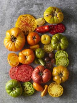 startwithaseed:  thevegetablemarket:  Heirloom Tomatoes via http://www.bhg.com  I can’t wait for summer!   yummy!