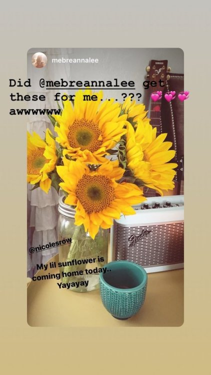 Photos Nicole posted on her Instagram Stories (February- April 2019)Instagram: nicolesrow