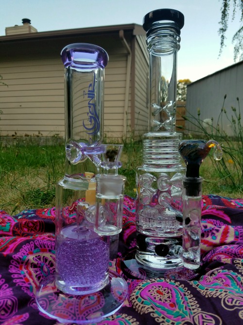 doobiedrewbie: Sesh with @taishatokerr. Her big baby in the back and my purple pretty up front.