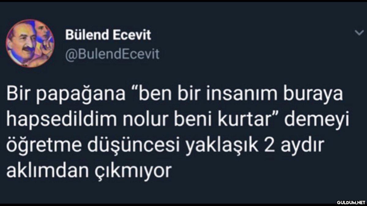 Bülend Ecevit...