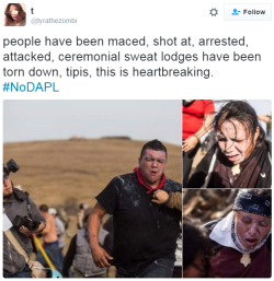 bellygangstaboo:  This is happening in America &amp; no-one seems to give a shit.  #outraged #NoDAPL #SignalBoost  