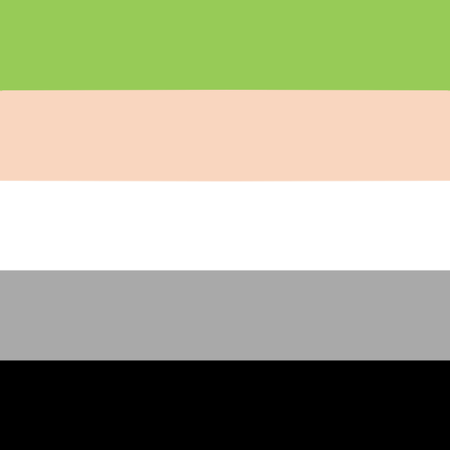 aroaesflags: Queerplatonic combo flags for anon Gay | Lesbian | Lesbian Bi | NB | Trans Aro | Pan | 