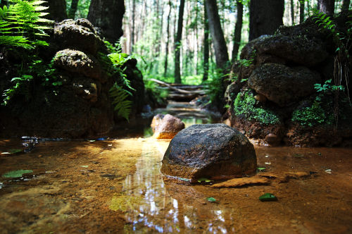 Gesundbrunnen in der Dübener Heide von Björn Über Flickr: Follow me on &lt;a href=&ldquo;https://twi