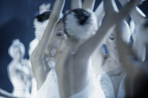 lasylphidedubolchoi:Mikhailovsky’s Swan LakePhoto by Nikolai Krusser