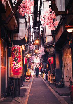 nythroughthelens: TokyoJapan during cherry