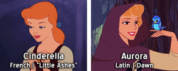 alostwendybird:  kristoffbjorgman:  Disney Heroines + their names’ meanings Bonus:  reblogging almost solely because almost everyone’s name is meaningful but Rapunzel’s literally just means lettuce 