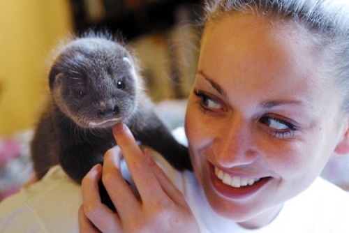 catsbeaversandducks:  And now, a Baby Otter. porn pictures