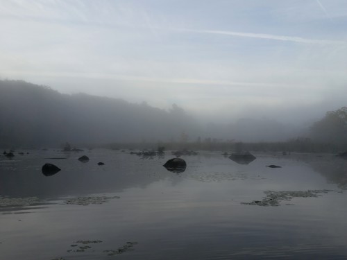 cummy-eyelids:Foggy wake & bake on the lake this morning
